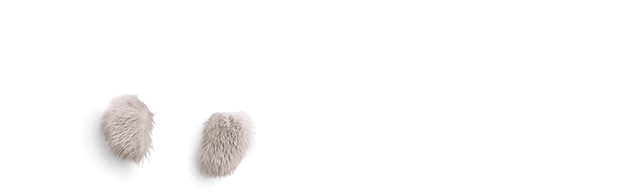 tuleň pod _Klíčový vizuál_ 2.png