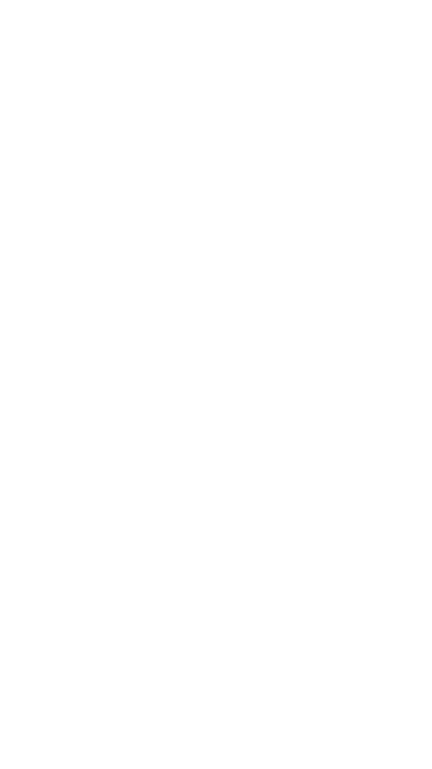 strednik.png